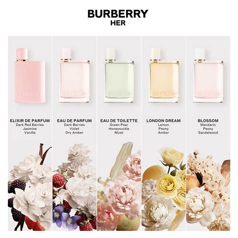 parfum her burberry pas cher|burberry her preisvergleich.